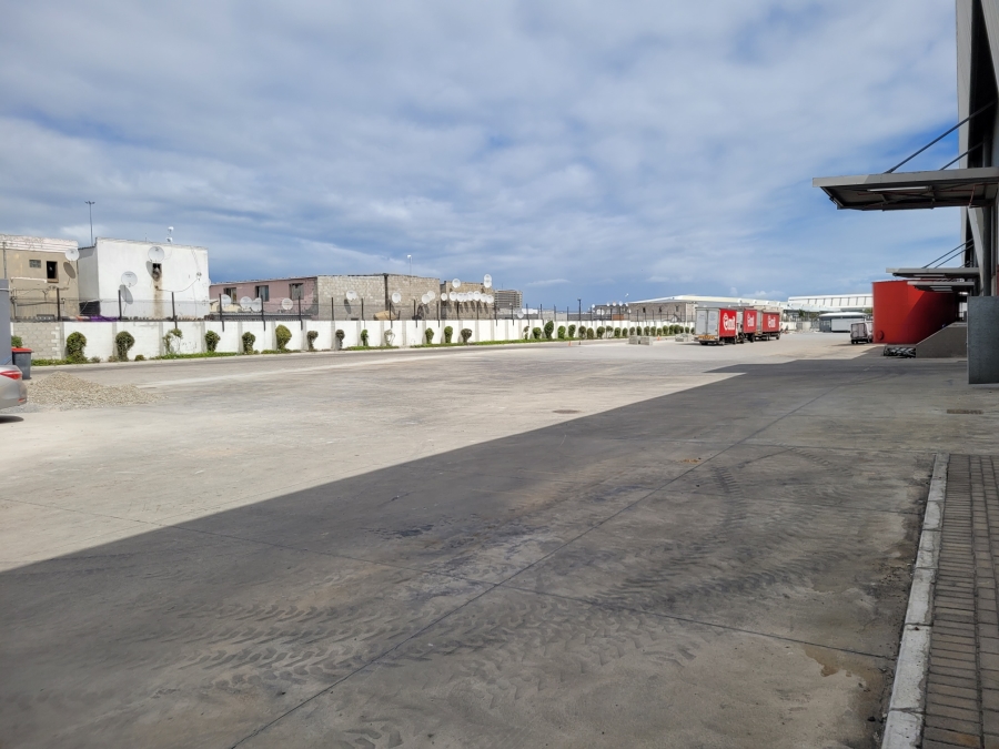 To Let commercial Property for Rent in Montague Gardens Western Cape